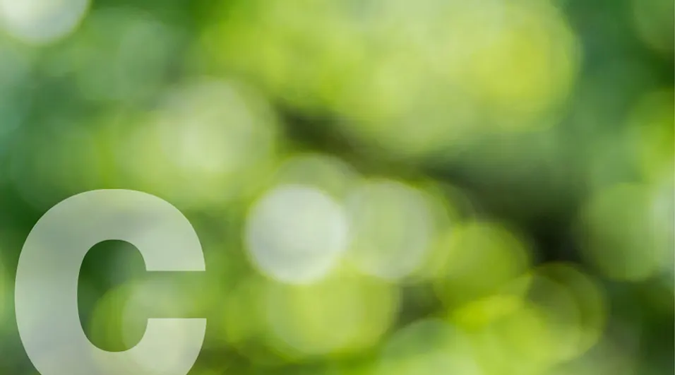 Chubb vers la durabilité