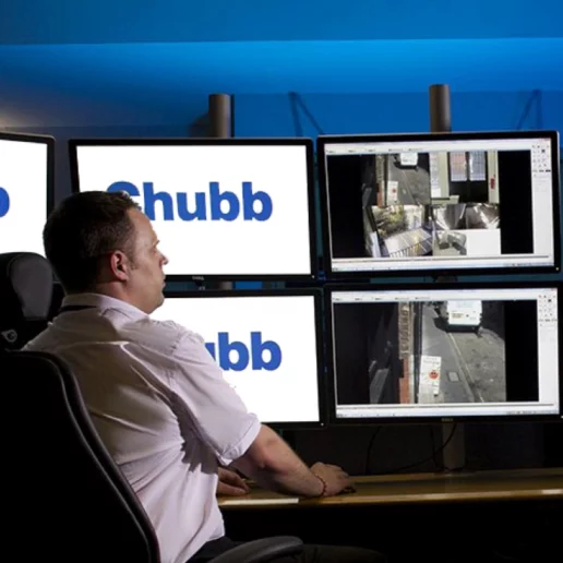 Video Monitoring Systems